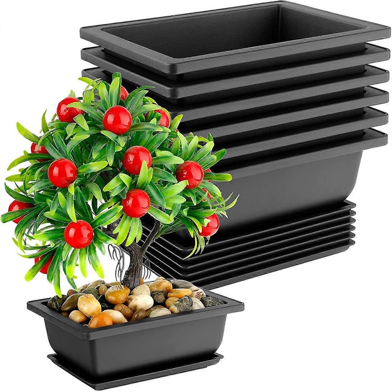 – Pot 6.5 Inches, 6 Packs Rect Bonzai Pots With Draina Trays, Flower Pot Humidity Trays, Square Potted Planter Pot F